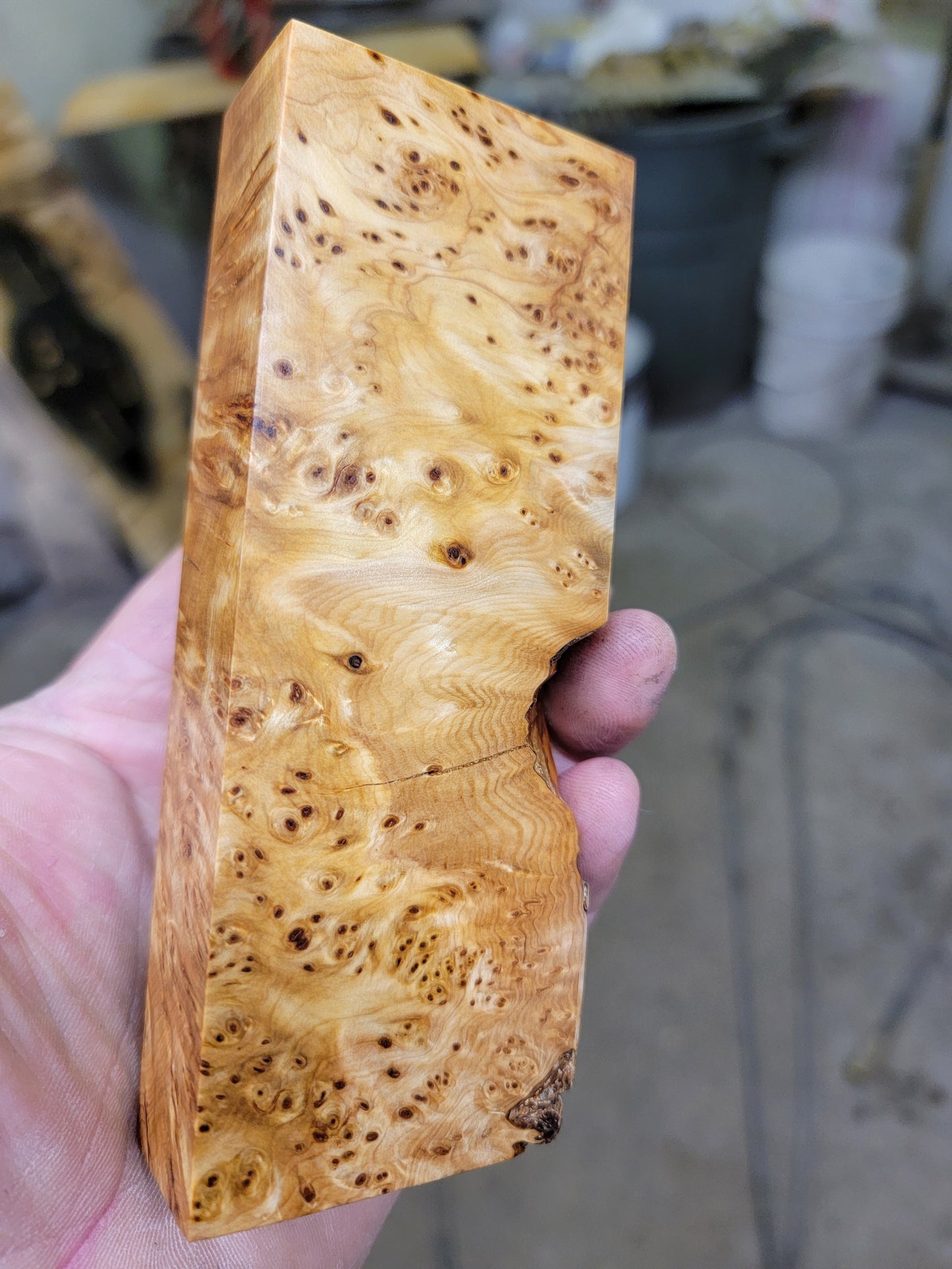 Stabilized yellow cedar burl